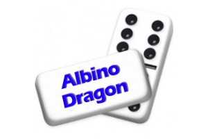 Double 9 Tournament size Custom Engraved Dominoes